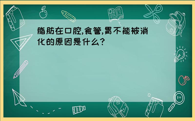 脂肪在口腔,食管,胃不能被消化的原因是什么?