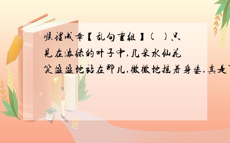 顺理成章【乱句重组】( )只见在浓绿的叶子中,几朵水仙花笑盈盈地站在那儿,微微地摇着身姿,真是可爱极了.( )我连衣服都