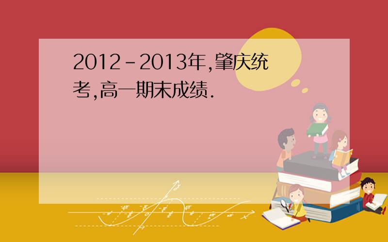 2012-2013年,肇庆统考,高一期末成绩.