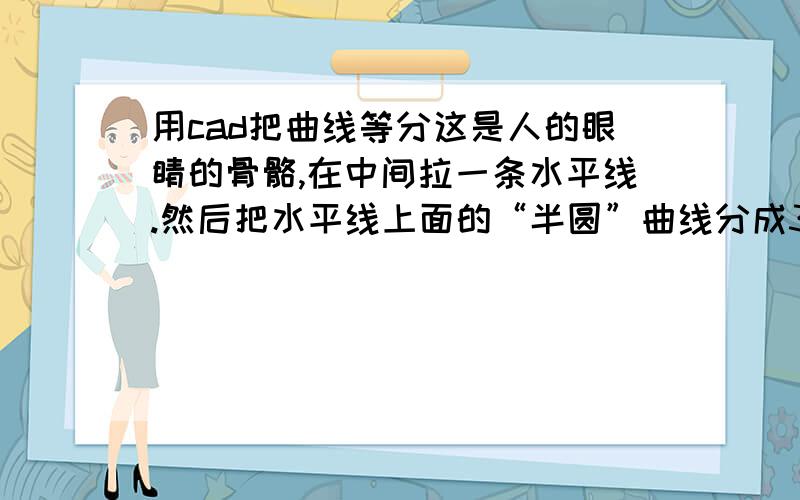 用cad把曲线等分这是人的眼睛的骨骼,在中间拉一条水平线.然后把水平线上面的“半圆”曲线分成30等分,下面部分的“半圆”