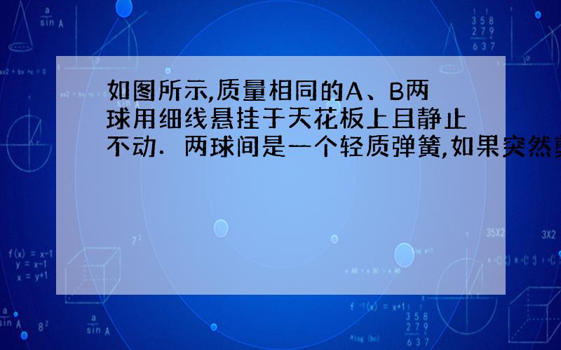 如图所示,质量相同的A、B两球用细线悬挂于天花板上且静止不动．两球间是一个轻质弹簧,如果突然剪断悬线