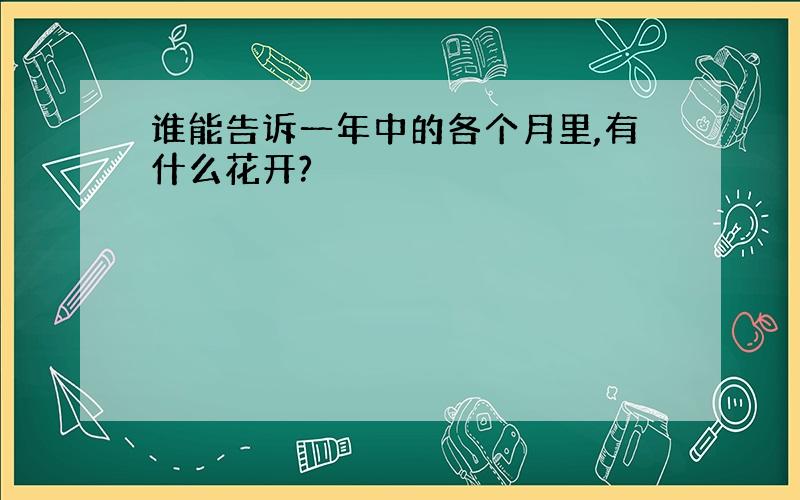 谁能告诉一年中的各个月里,有什么花开?