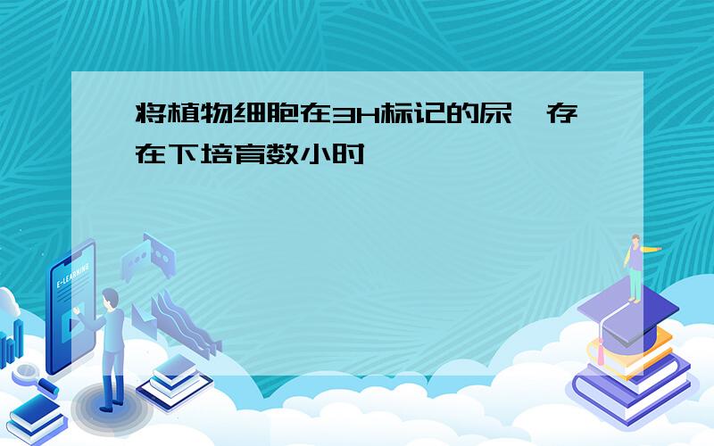 将植物细胞在3H标记的尿苷存在下培育数小时