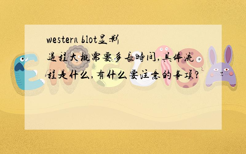 western blot显影过程大概需要多长时间,具体流程是什么,有什么要注意的事项?