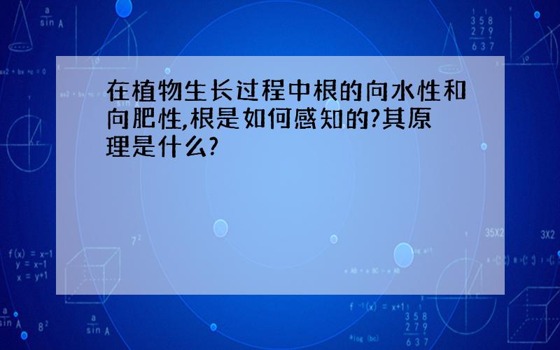 在植物生长过程中根的向水性和向肥性,根是如何感知的?其原理是什么?