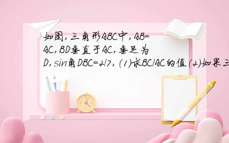 如图,三角形ABC中,AB=AC,BD垂直于AC,垂足为D,sin角DBC=2/7,（1）求BC/AC的值（2）如果三角