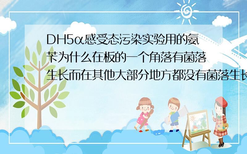 DH5α感受态污染实验用的氨苄为什么在板的一个角落有菌落生长而在其他大部分地方都没有菌落生长?