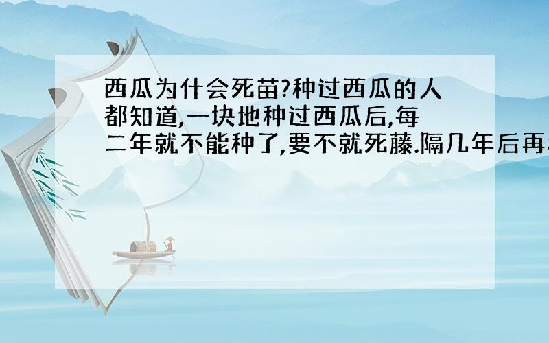 西瓜为什会死苗?种过西瓜的人都知道,一块地种过西瓜后,每二年就不能种了,要不就死藤.隔几年后再种就不会.