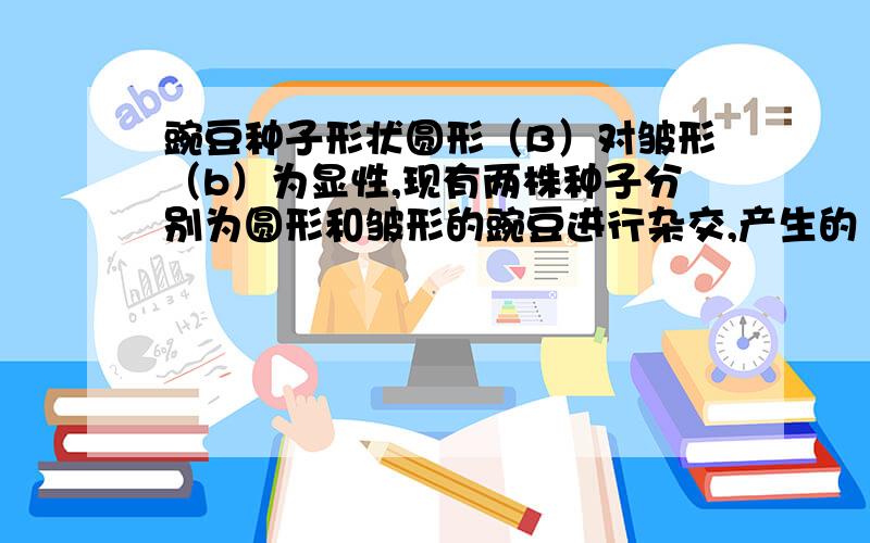 豌豆种子形状圆形（B）对皱形（b）为显性,现有两株种子分别为圆形和皱形的豌豆进行杂交,产生的 杂交后代全部是圆形种子,再