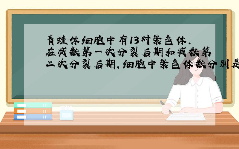 青蛙体细胞中有13对染色体,在减数第一次分裂后期和减数第二次分裂后期,细胞中染色体数分别是（）条和（）条?