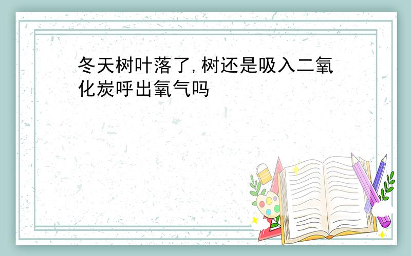 冬天树叶落了,树还是吸入二氧化炭呼出氧气吗