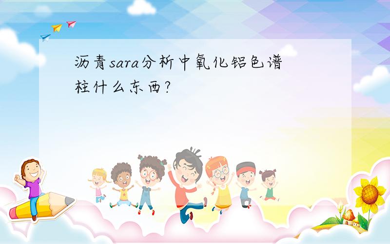 沥青sara分析中氧化铝色谱柱什么东西?