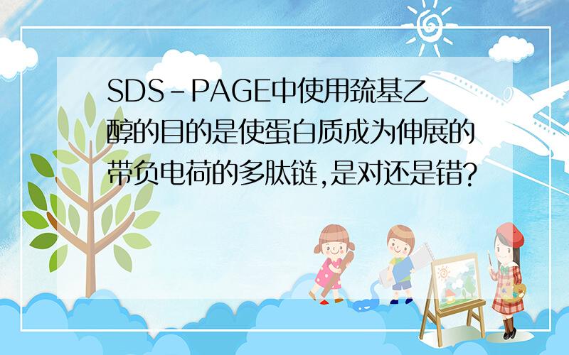 SDS-PAGE中使用巯基乙醇的目的是使蛋白质成为伸展的带负电荷的多肽链,是对还是错?