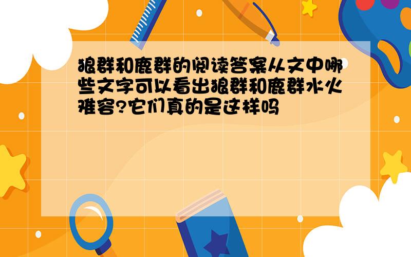 狼群和鹿群的阅读答案从文中哪些文字可以看出狼群和鹿群水火难容?它们真的是这样吗