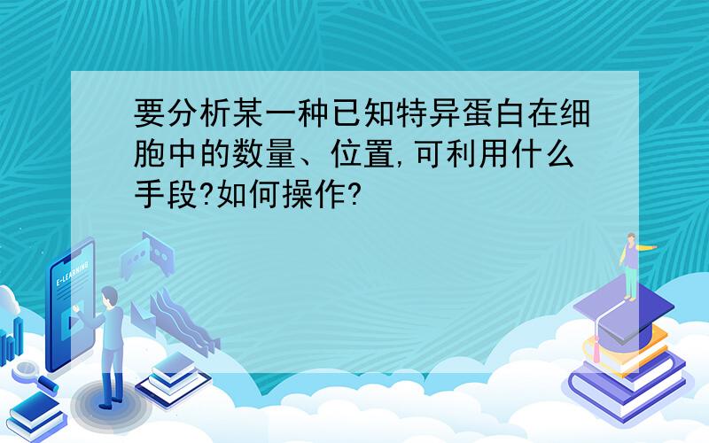 要分析某一种已知特异蛋白在细胞中的数量、位置,可利用什么手段?如何操作?