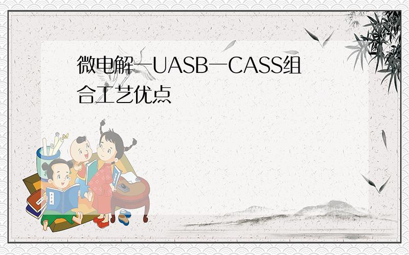 微电解一UASB一CASS组合工艺优点