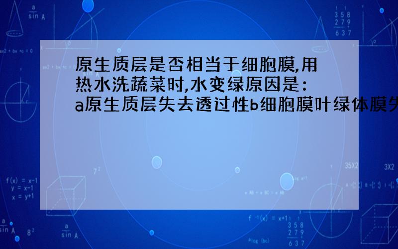 原生质层是否相当于细胞膜,用热水洗蔬菜时,水变绿原因是：a原生质层失去透过性b细胞膜叶绿体膜失去透过