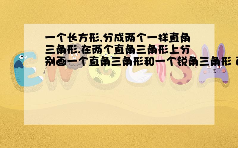 一个长方形,分成两个一样直角三角形.在两个直角三角形上分别画一个直角三角形和一个锐角三角形 面积相等吗