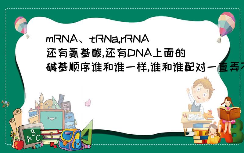 mRNA、tRNa,rRNA还有氨基酸,还有DNA上面的碱基顺序谁和谁一样,谁和谁配对一直弄不清楚,谁帮我整理一下,这个