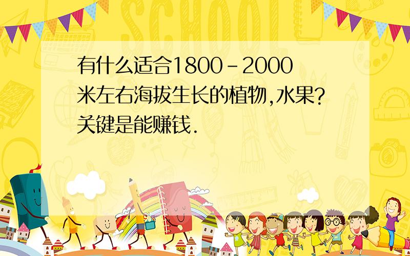 有什么适合1800-2000米左右海拔生长的植物,水果?关键是能赚钱.