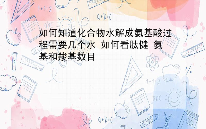 如何知道化合物水解成氨基酸过程需要几个水 如何看肽健 氨基和羧基数目