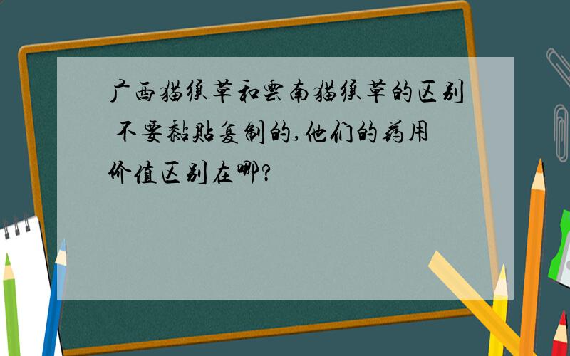 广西猫须草和云南猫须草的区别 不要黏贴复制的,他们的药用价值区别在哪?