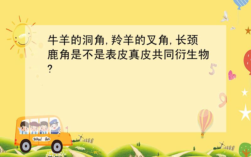 牛羊的洞角,羚羊的叉角,长颈鹿角是不是表皮真皮共同衍生物?