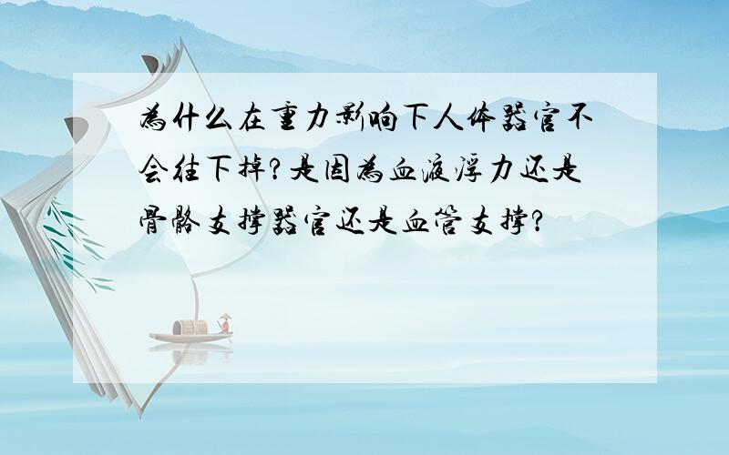 为什么在重力影响下人体器官不会往下掉?是因为血液浮力还是骨骼支撑器官还是血管支撑?