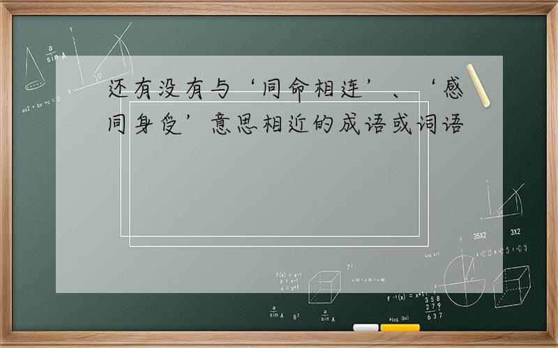 还有没有与‘同命相连’、‘感同身受’意思相近的成语或词语