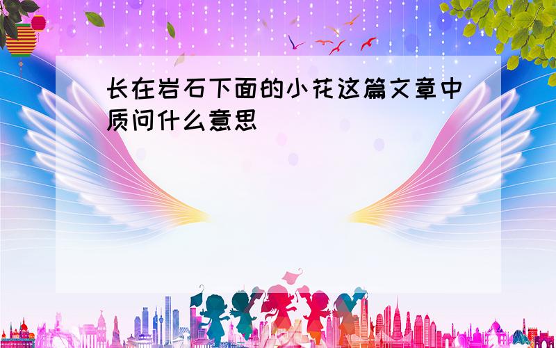 长在岩石下面的小花这篇文章中质问什么意思