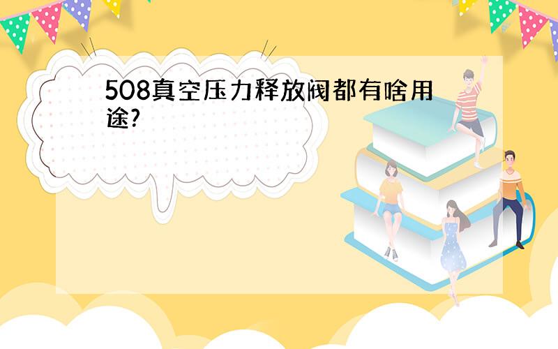 508真空压力释放阀都有啥用途?