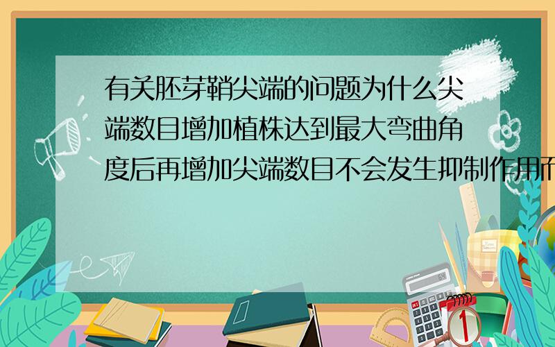 有关胚芽鞘尖端的问题为什么尖端数目增加植株达到最大弯曲角度后再增加尖端数目不会发生抑制作用而IAA在达到最大弯曲角度后浓