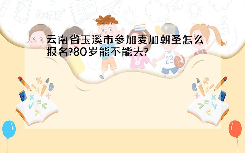 云南省玉溪市参加麦加朝圣怎么报名?80岁能不能去?