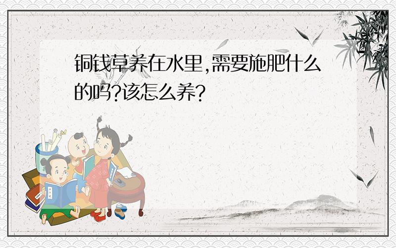 铜钱草养在水里,需要施肥什么的吗?该怎么养?