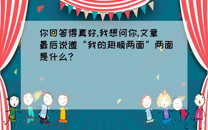 你回答得真好,我想问你,文章最后说道“我的翅膀两面”两面是什么?