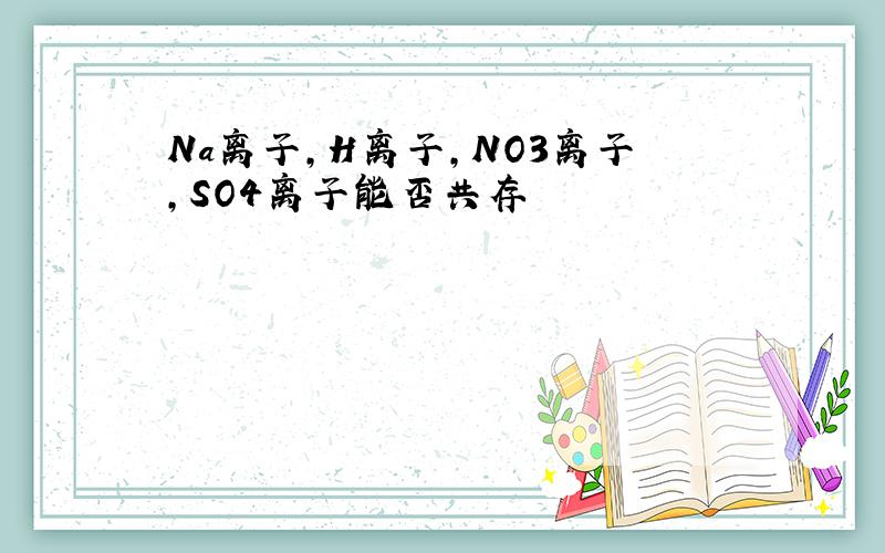 Na离子,H离子,NO3离子,SO4离子能否共存