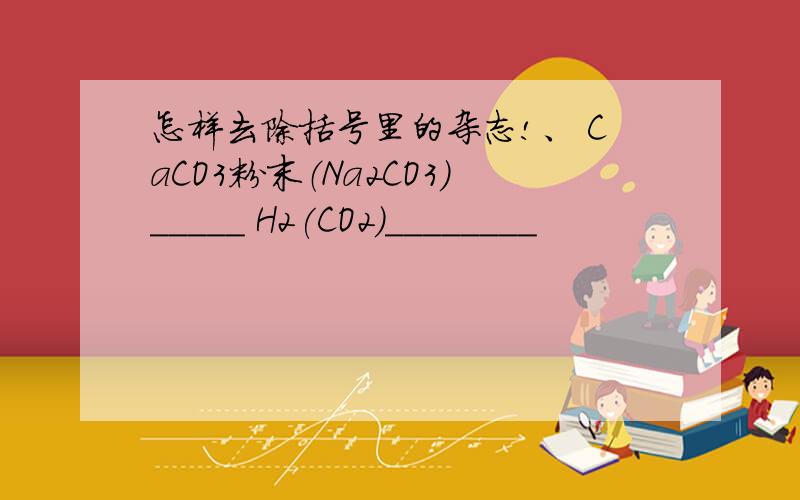 怎样去除括号里的杂志!、 CaCO3粉末（Na2CO3)_____ H2(CO2)________