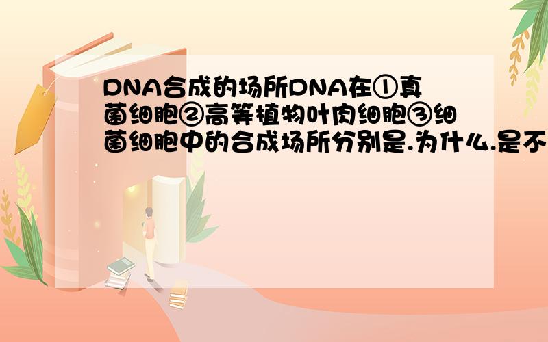 DNA合成的场所DNA在①真菌细胞②高等植物叶肉细胞③细菌细胞中的合成场所分别是.为什么.是不是①②是细胞核③是细胞质?