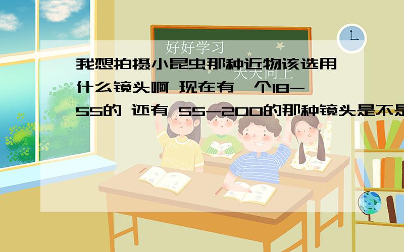 我想拍摄小昆虫那种近物该选用什么镜头啊 现在有一个18-55的 还有 55-200的那种镜头是不是太近就不行了?