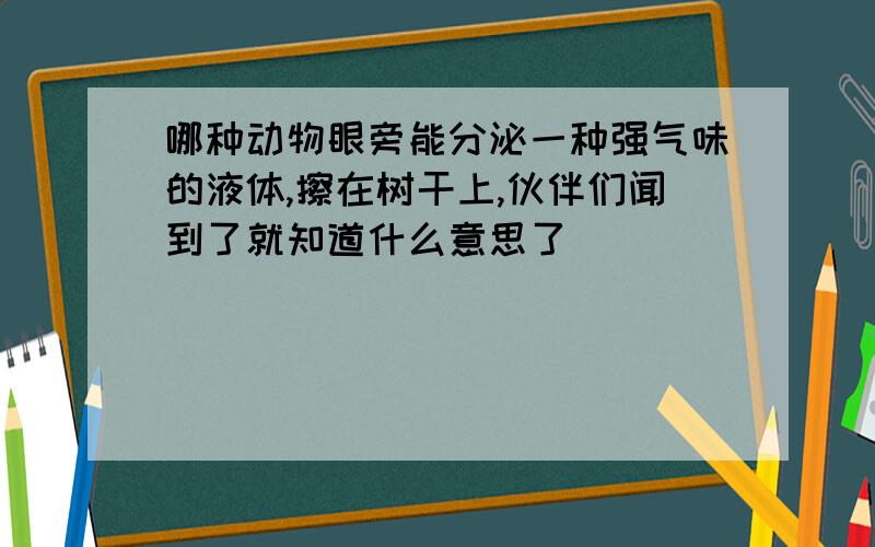 哪种动物眼旁能分泌一种强气味的液体,擦在树干上,伙伴们闻到了就知道什么意思了