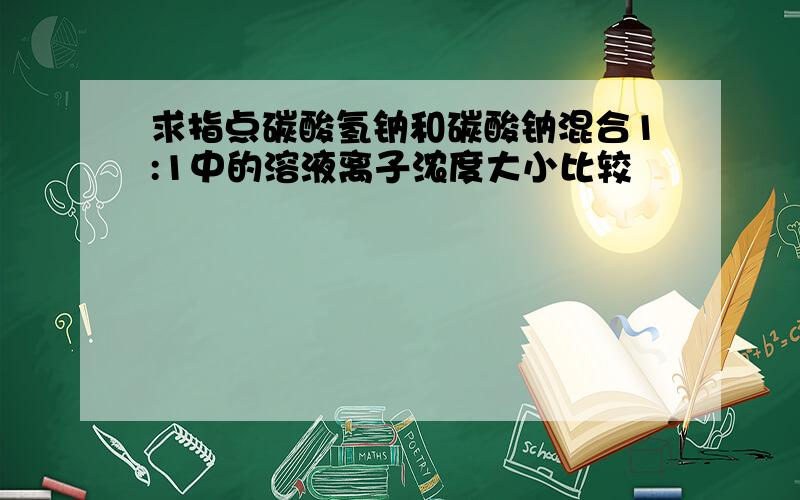 求指点碳酸氢钠和碳酸钠混合1:1中的溶液离子浓度大小比较