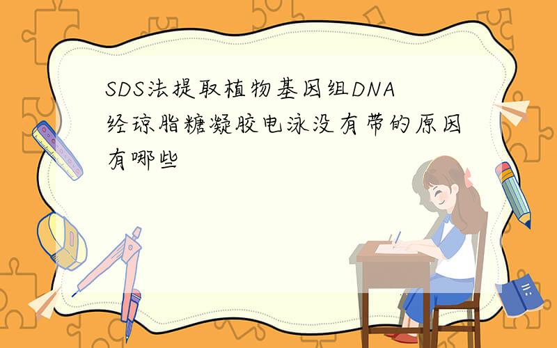 SDS法提取植物基因组DNA经琼脂糖凝胶电泳没有带的原因有哪些