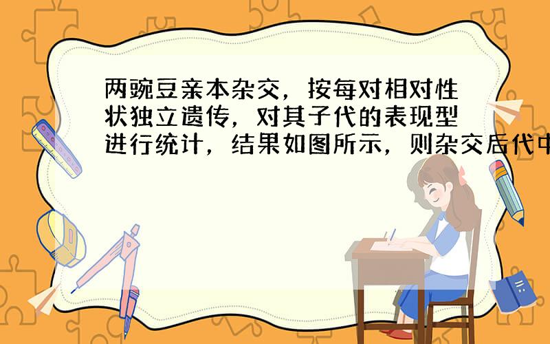 两豌豆亲本杂交，按每对相对性状独立遗传，对其子代的表现型进行统计，结果如图所示，则杂交后代中，新出现的类型占的比例为（