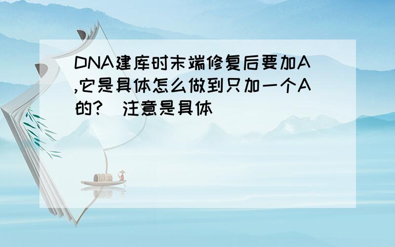 DNA建库时末端修复后要加A,它是具体怎么做到只加一个A的?（注意是具体）