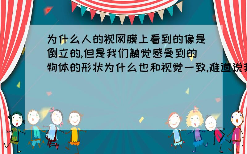 为什么人的视网膜上看到的像是倒立的,但是我们触觉感受到的物体的形状为什么也和视觉一致,难道说我们的