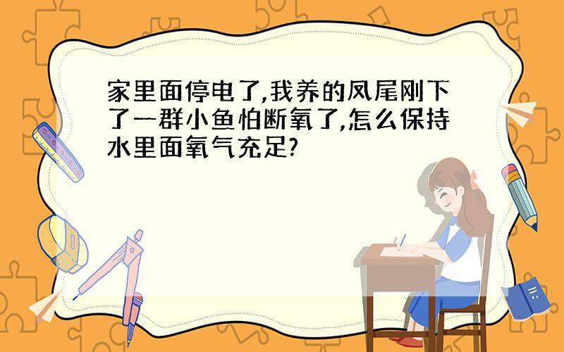 家里面停电了,我养的凤尾刚下了一群小鱼怕断氧了,怎么保持水里面氧气充足?