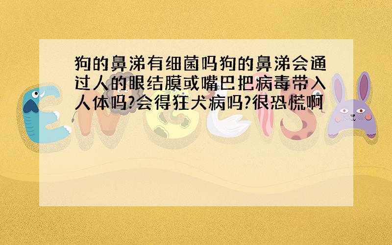 狗的鼻涕有细菌吗狗的鼻涕会通过人的眼结膜或嘴巴把病毒带入人体吗?会得狂犬病吗?很恐慌啊