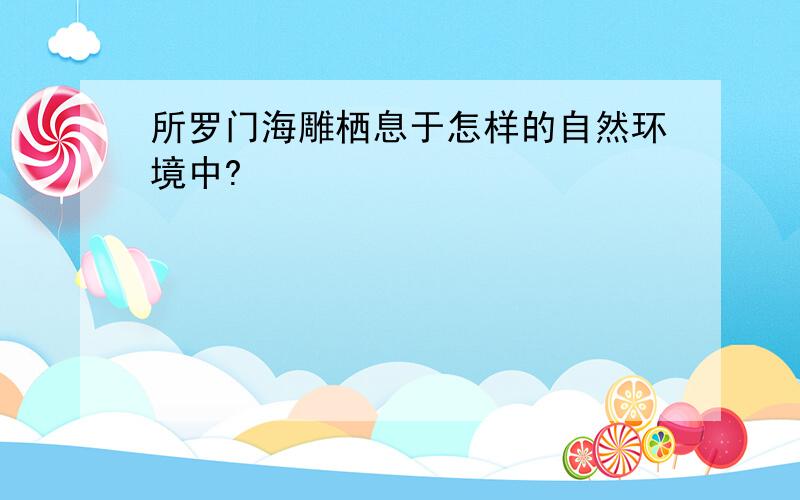 所罗门海雕栖息于怎样的自然环境中?