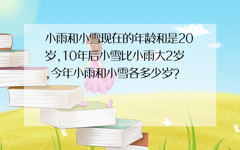 小雨和小雪现在的年龄和是20岁,10年后小雪比小雨大2岁,今年小雨和小雪各多少岁?