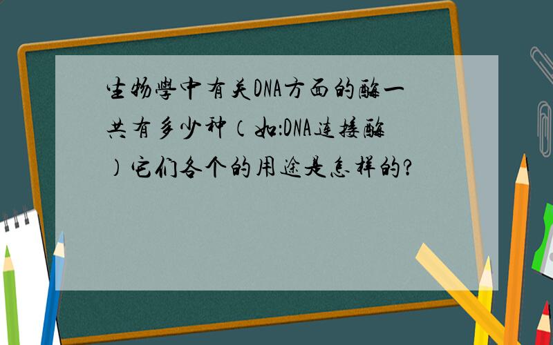 生物学中有关DNA方面的酶一共有多少种（如：DNA连接酶）它们各个的用途是怎样的?